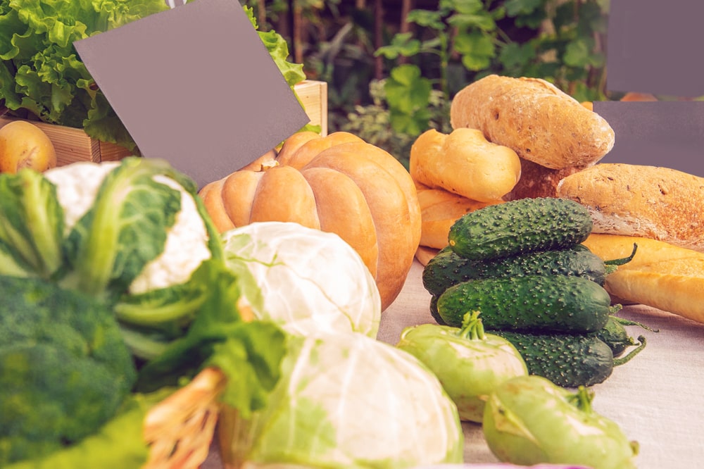 3 Motivos Para Evitar o Desperdício de Comida na Indústria