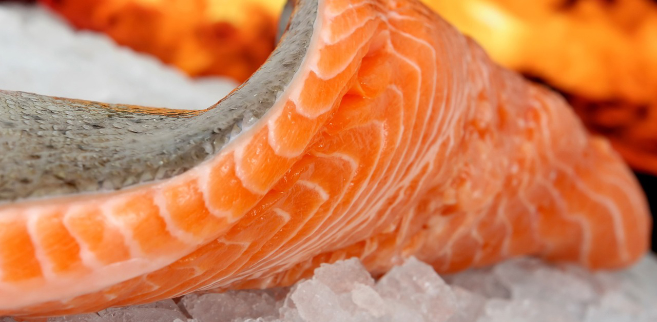 Quais os tipos de Embalagens para Peixes?