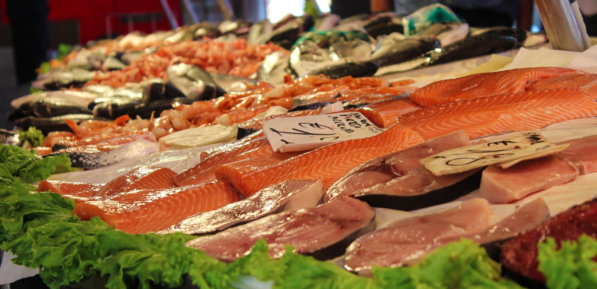 O pescado vai ficar mais caro! Aprenda a armazenar peixes com segurança em casa e fuja do aumento.