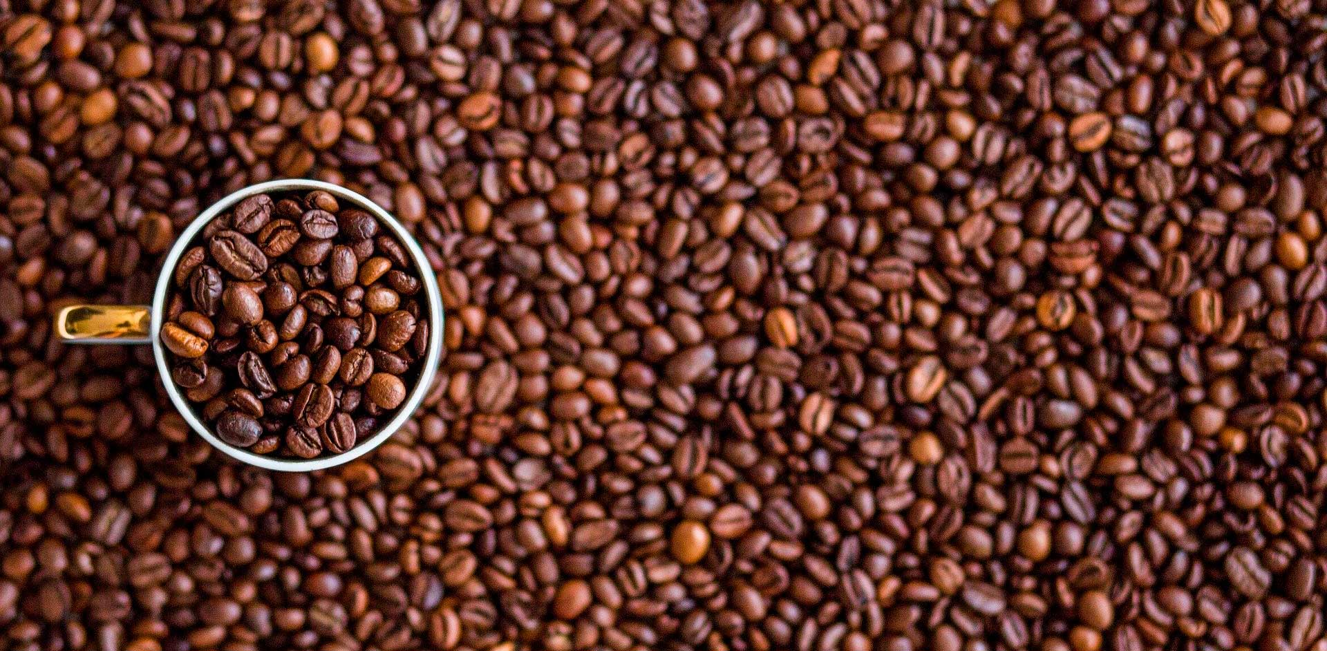 No dia mundial do Café, conheça sua história e o mercado do queridinho dos brasileiros