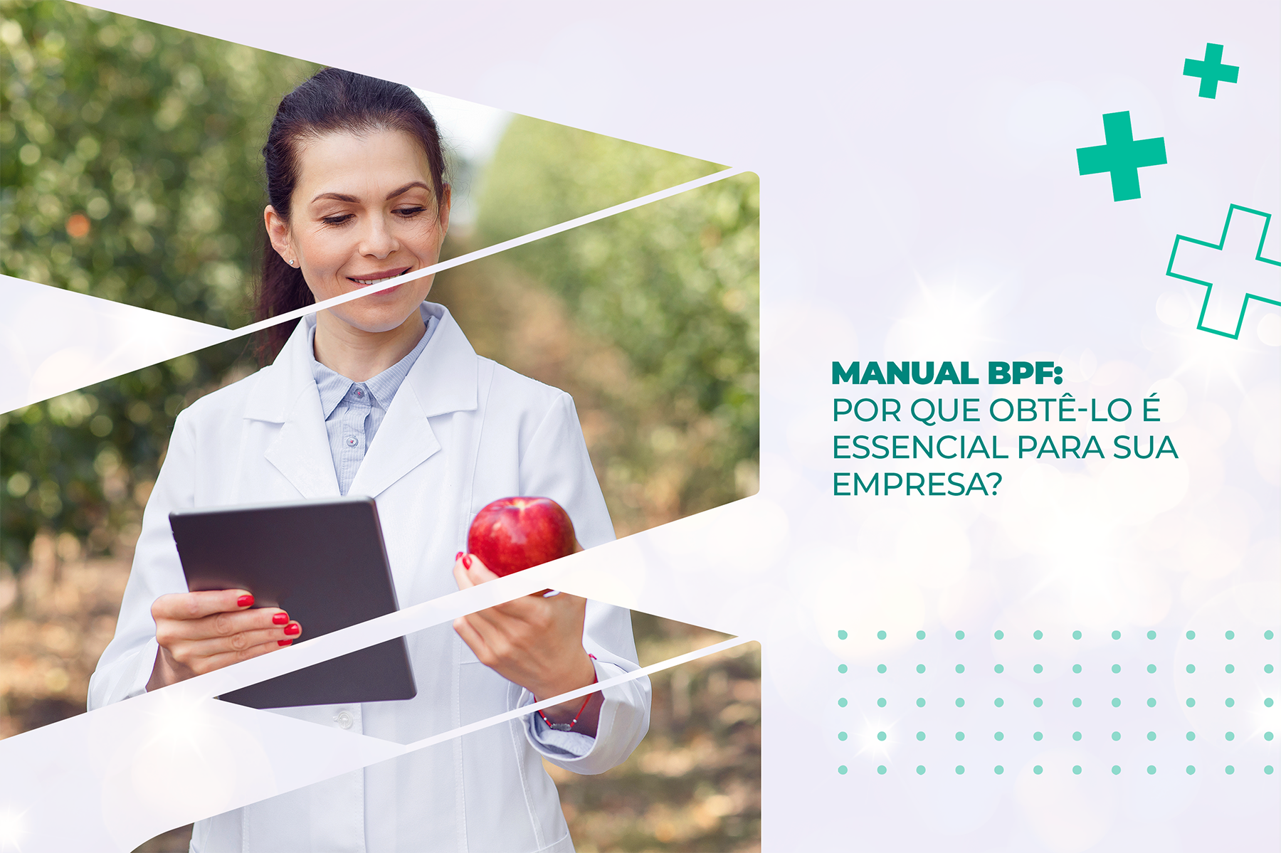 Manual BPF: Por que obtê-lo é essencial para sua empresa?